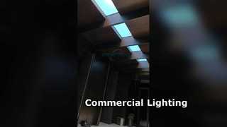 ई सीरीज स्काई सीलिंग लाइट के साथ लिफ्ट कॉरिडोर को बदलना