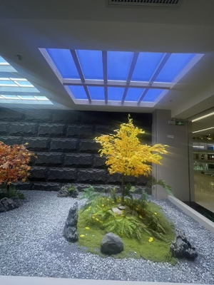 12 किलोग्राम एल्यूमीनियम एलईडी स्ट्रीट लाइट L600*W600*H220 मिमी ऊर्जा बचत बाहरी प्रकाश व्यवस्था के लिए आदर्श